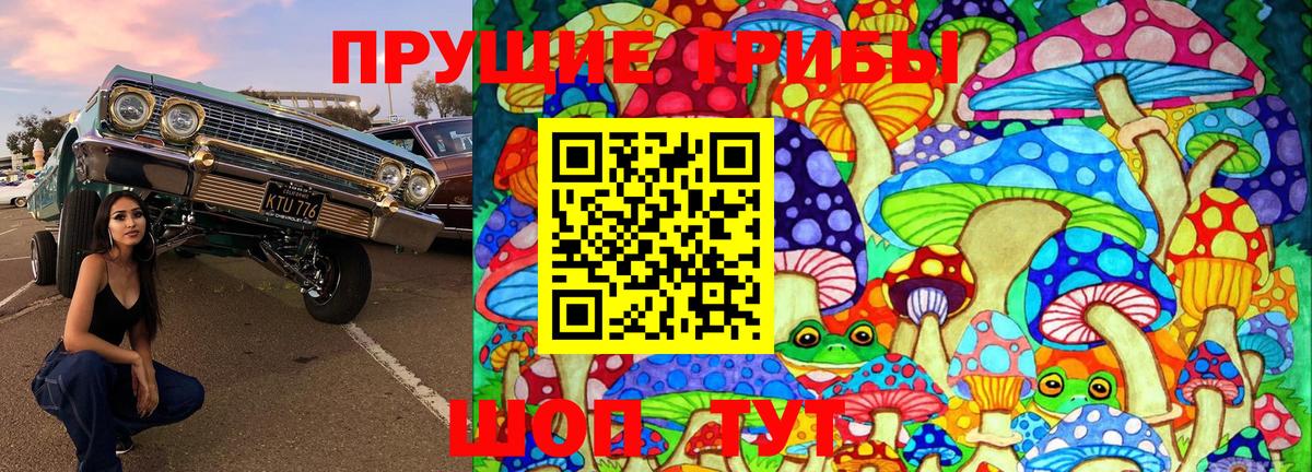 Галлюциногенные грибы Psilocybe Тихорецк
