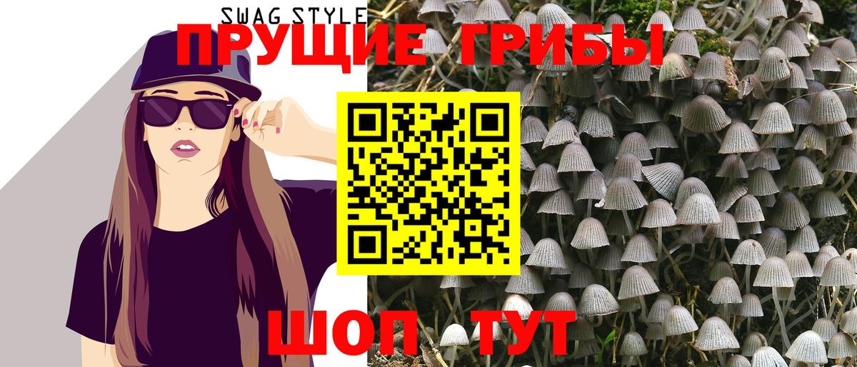 продажа наркотиков  Псилоцибиновые грибы GOLDEN TEACHER  Вход с VPN  Тихорецк 