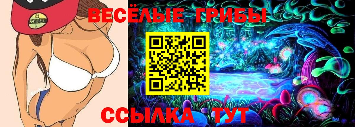 Тихорецк  Мефедрон  Магазин наркотиков  Каннабис  Меф МЯУ МЯУ   Экстази  ГАШИШ  Вход с VPN  Кокаин 